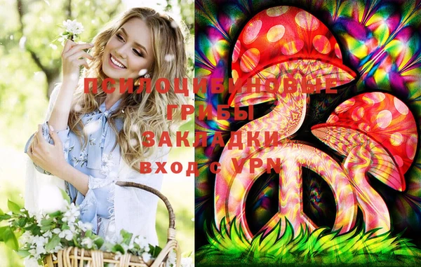 гидропоника Абдулино