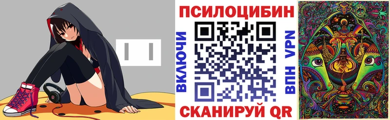 купить наркотик  Алейск  mega маркетплейс  Галлюциногенные грибы GOLDEN TEACHER 